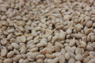 Colombian organic coffee beans