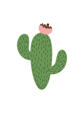 Cute green cactus. Badges and stickers for social networks, icons for website. Fauna, desert and plants. Indian territory symbols. Cartoon flat vector illustration isolated on white background