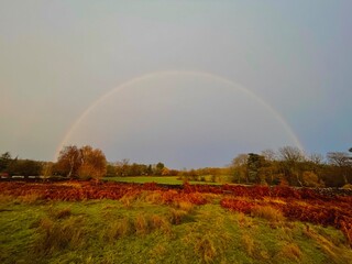 Bradgate park, Leicestershire, UK