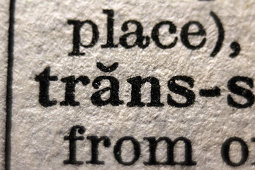Word "trans" printed on book page, macro close-up	
