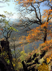 Famous Saxon Switzerland at the Elbe river in Saxony