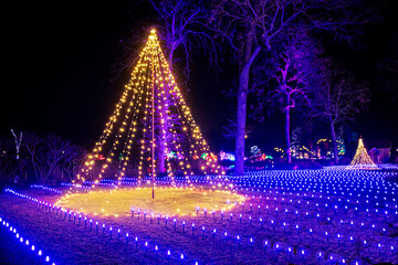Christmas Lights