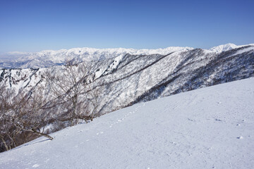 Fototapeta premium 冬山風景 越後東谷山から苗場山