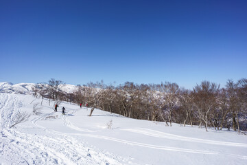 山スキー　越後東谷山から滑降