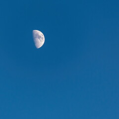Fototapeta premium Half bright Moon visible afternoon time on the blue sky