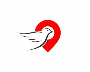 Flying bird inside to point location