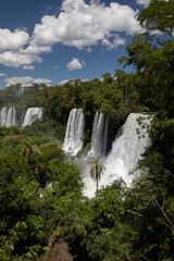 Obraz premium The waterfalls in the jungle. View of the white falling water flowing across the tropical rainforest.