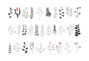 Fototapeta A set of graceful sprigs with leaves and flowers. Collection of hand-drawn spring plants. obraz