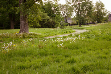Landscape with footpath on the Old golf of Candiac