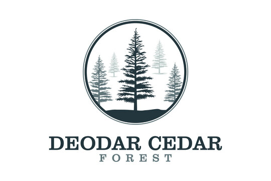 Deer stag buck silhouette with pine, evergreen, fir, hemlock, spruce, conifer, cedar tree Forest wildlife logo design vector
