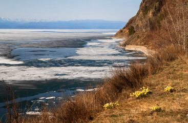 Spring on the shore of Lake Baikal