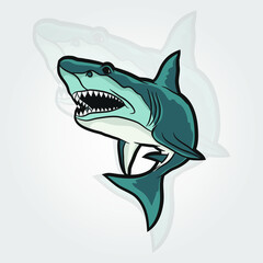 Vector illustration: toothy white shark