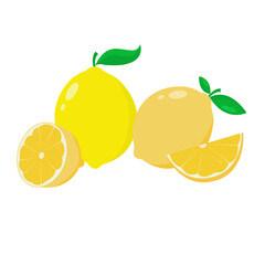 Lemon fruit with leaf isolate. Lemon whole, half, slice, leaves on white. Lemon slices with zest isolated. Vector illustration.