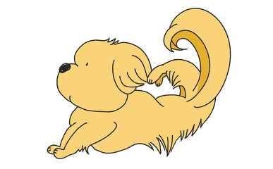 うつ伏せでストレッチをする犬
