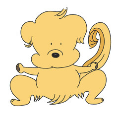 正面でスクワットをする犬