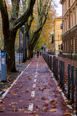 Street in autumn