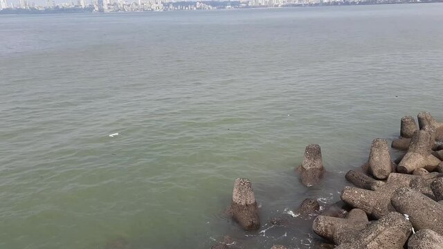 Concrete wave breakers along the promenade on the coastline near Marine drive road. Back Bay is part of the Arabian sea near Mumbai, India. waves hitting the breakwater concrete tetrapods