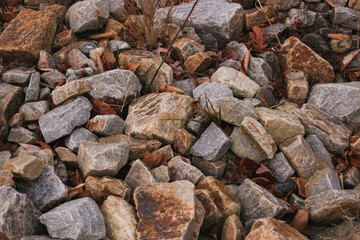 Rocks