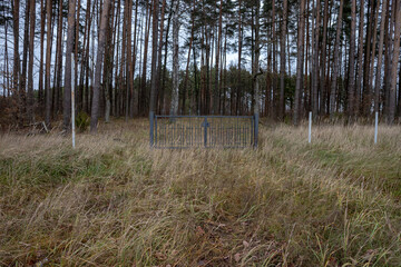 Fototapeta premium metal fence gate in the middle of forest