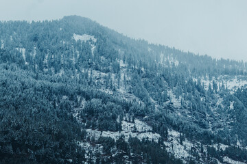 Clouds on the top of the mountain covered by snow after snowfall in Manali, Himachal Pradesh, India	