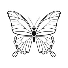 Fototapeta na wymiar Papilio palinurus butterfly outline illustration. Black silhouette of beautiful tropical flying insect. Vector icon.