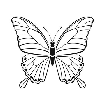 Papilio palinurus butterfly outline illustration. Black silhouette of beautiful tropical flying insect. Vector icon.
