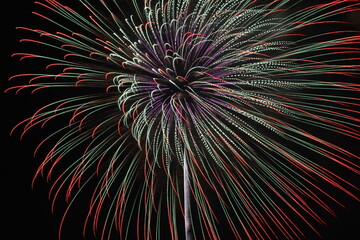 伸びやかなる花火