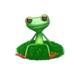 3D Illustration of a Frog on a Green Lawn