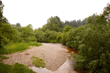 Fototapeta na wymiar Flussbett mit grünen Bäumen