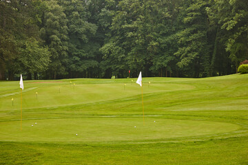 Golfplatz mit Fahnen vor grünem Wald