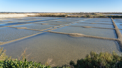 The Guérande salt marshes in the north of France. They are are part of Loire-Atlantique's natural heritage. A protected natural site. View of the salt flats