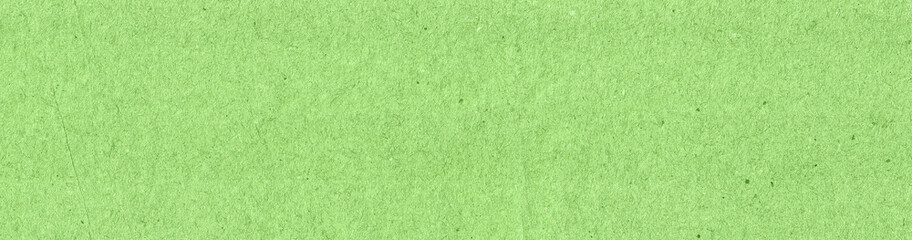 Fototapeta premium green grass texture