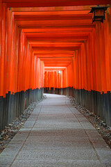 伏見稲荷大社の千本鳥居