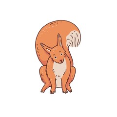 Red squirrel. Cartoon outline sketch illustration of cute animal character.