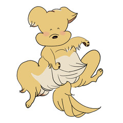 お腹をみせてじゃれる犬