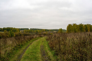Fototapeta na wymiar landscape on a cloudy autumn day