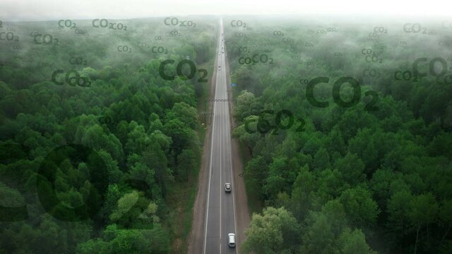 Carbon free concept. Forest protect world from CO2 dioxide pollute emission. A lonely road in the forest among the carbon smoke.