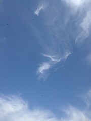 blue sky with white clouds