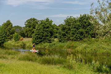 Peize, Netherlands July 16, 2021: A tanned woman in a t-shirt with bikini bottoms on a sup board. With an Australian Shepherd dog. Paddling on the paddle board in a river. animal themes,