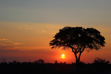 Obraz na płótnie Canvas Sonnenuntergang Krüger Park Südafrika / Sundown Kruger Park South Africa /