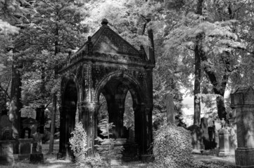 Fototapeta premium Görlitz - Jüdischer Friedhof