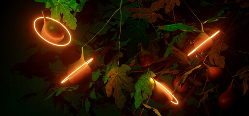 Dark Realistic Neon Orange Warm Little Ring Lights Sci Fi Futuristic Flower Plant Leafs With Orange Balls Retro Background Night Magical 3D Rendering
