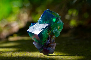 .fluorite mineral specimen stone rock geology gem crystal