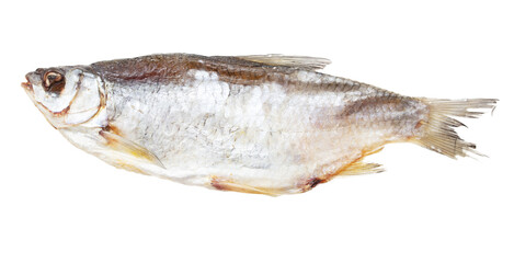 Sun-dried roach isolated on a white