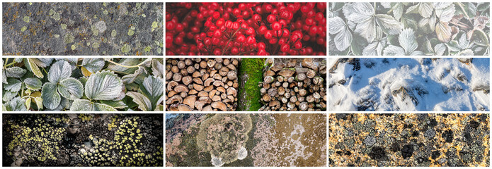 Set of natural textures. Nature objects close-up: trunks and bark of trees, firewood, berries, foliage of plants, surface of stones, hoarfrost and snow. Collection of panoramic backgrounds for design.