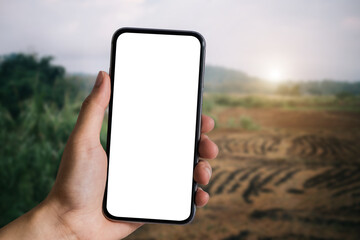 Hand holding white mobile phone with blank white screen in forest.