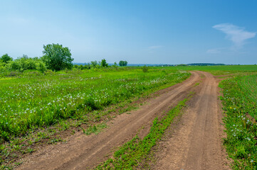 Fototapeta na wymiar Spring photography, dirt road on wheat fields. lane intended for movement, communication