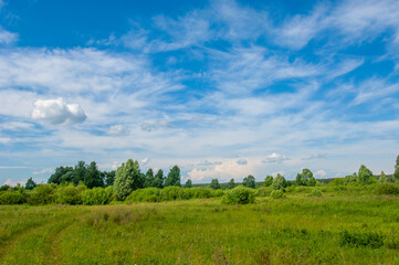Fototapeta na wymiar summer landscape, thunderclouds, blue sky, floodplain meadow fields, the aroma of summer colors and a variety of wildflowers