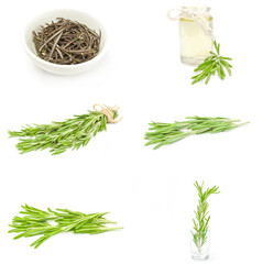 Set of rosemarie close-up isolated on white background