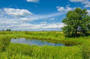 Fototapeta na wymiar Summer photo. floodplain meadows A meadow (or floodplain) is an area of ​​meadows or pastures on the banks of a river that is prone to seasonal flooding.